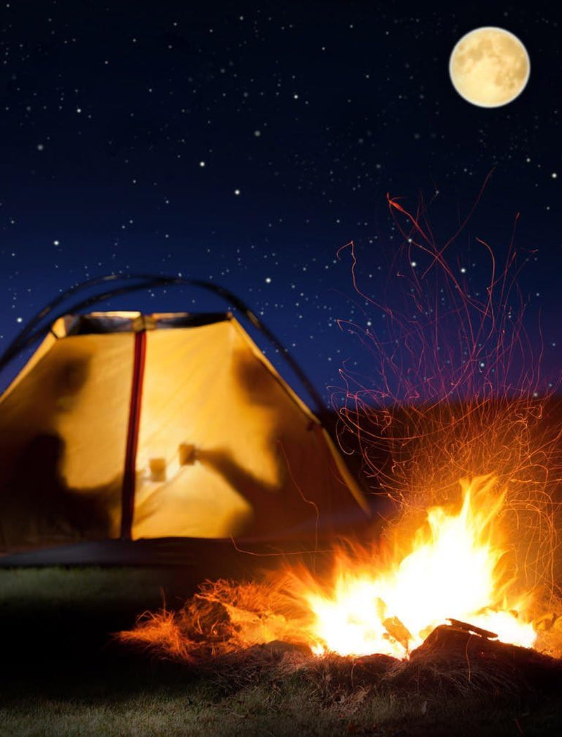 Camping Is in Tents - Funny Camping Gift Women Hoodie